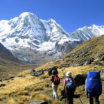 Group Trekking in Nepal