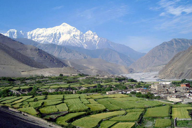 Jomsom Muktinath Trek