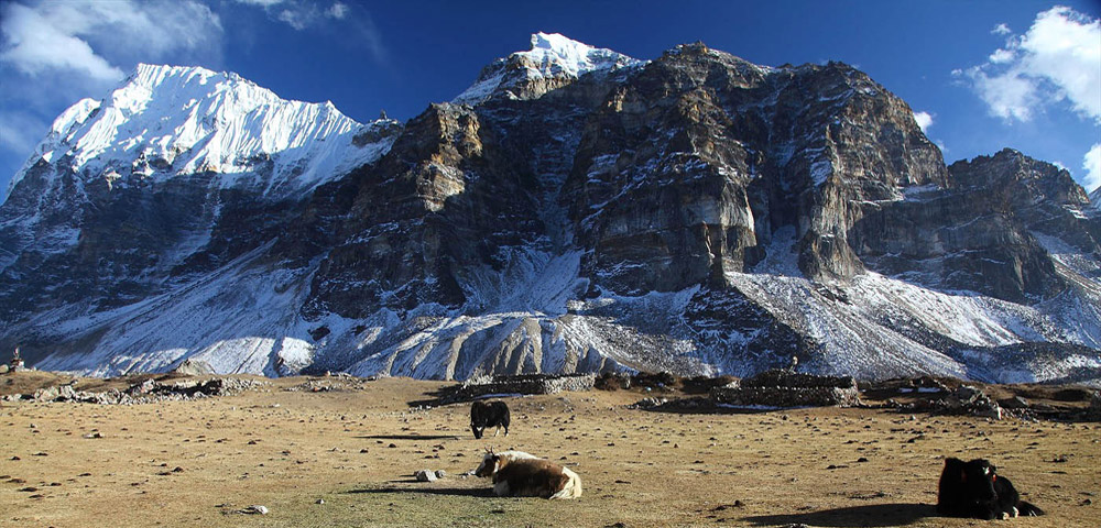 Kanchenjunga Base Camp Trek