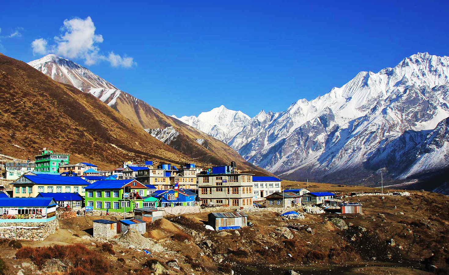 Langtang Region