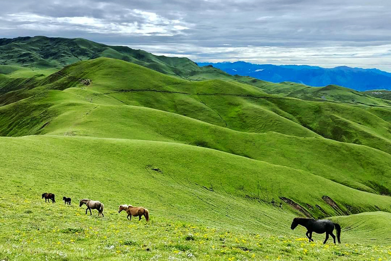 Badimalika Trek