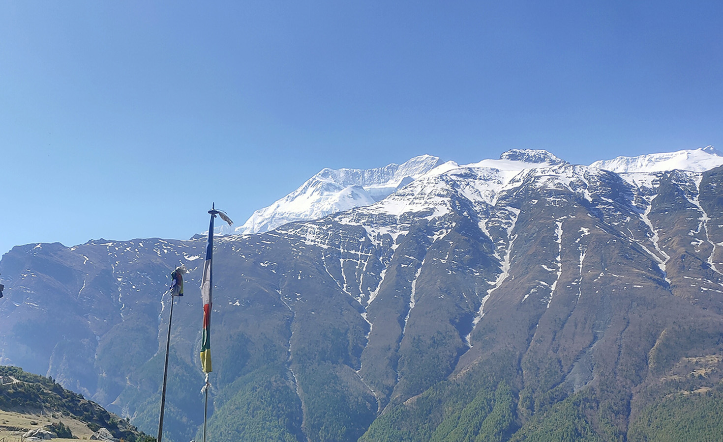 Camping Trek in Nepal