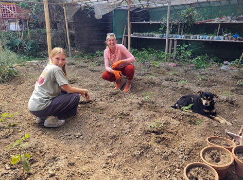 Volunteer Nepal