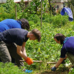 Regenerative Travel in Nepal