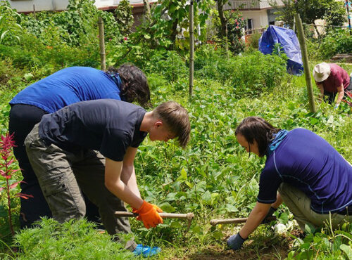 Volunteer Nepal