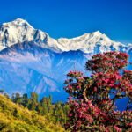 Kathmandu Chitwan Pokhara Tour in 8 Days