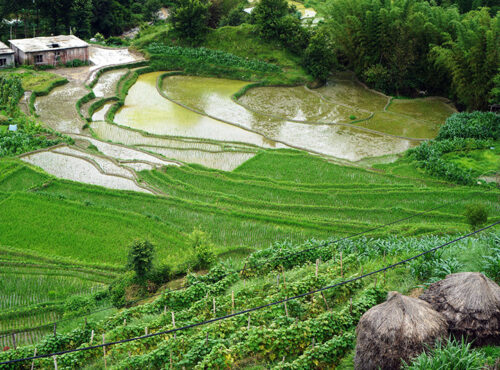 agrotourism-nepal