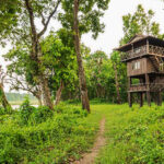 Tower Night Stay in Chitwan, Sleep in the Jungle