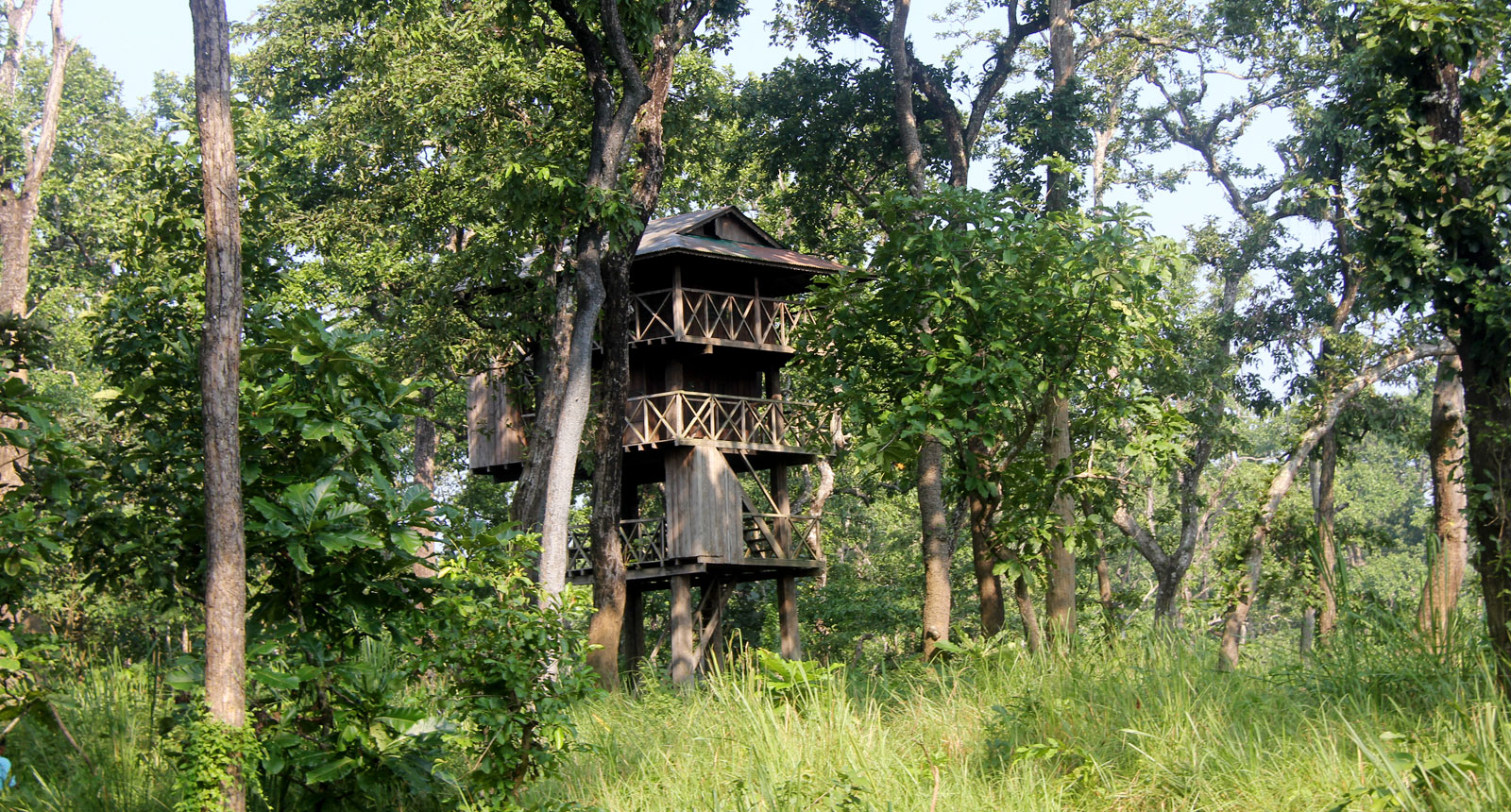 Tower Night Stay in Chitwan, Sleep in the Jungle