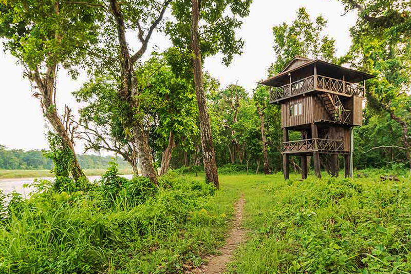 Tower Night Stay in Chitwan, Sleep in the Jungle