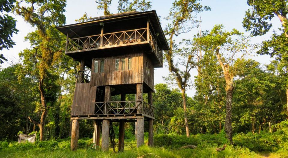 Tree House Stay in Chitwan