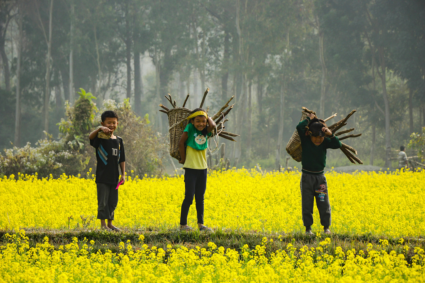 7-Day Kathmandu Bandipur Chitwan with Monastery Stay Tour