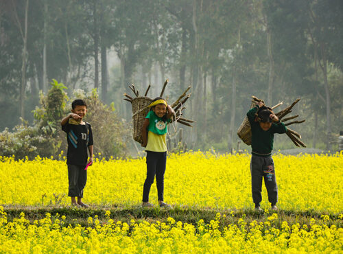 bandipur