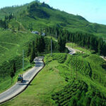 Visit Ilam – Explore Eastern Nepal