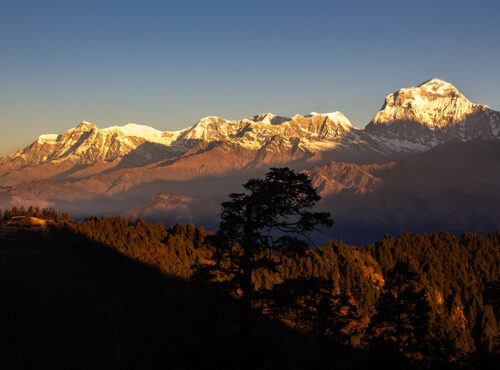 Kokhe Hill Station Trek