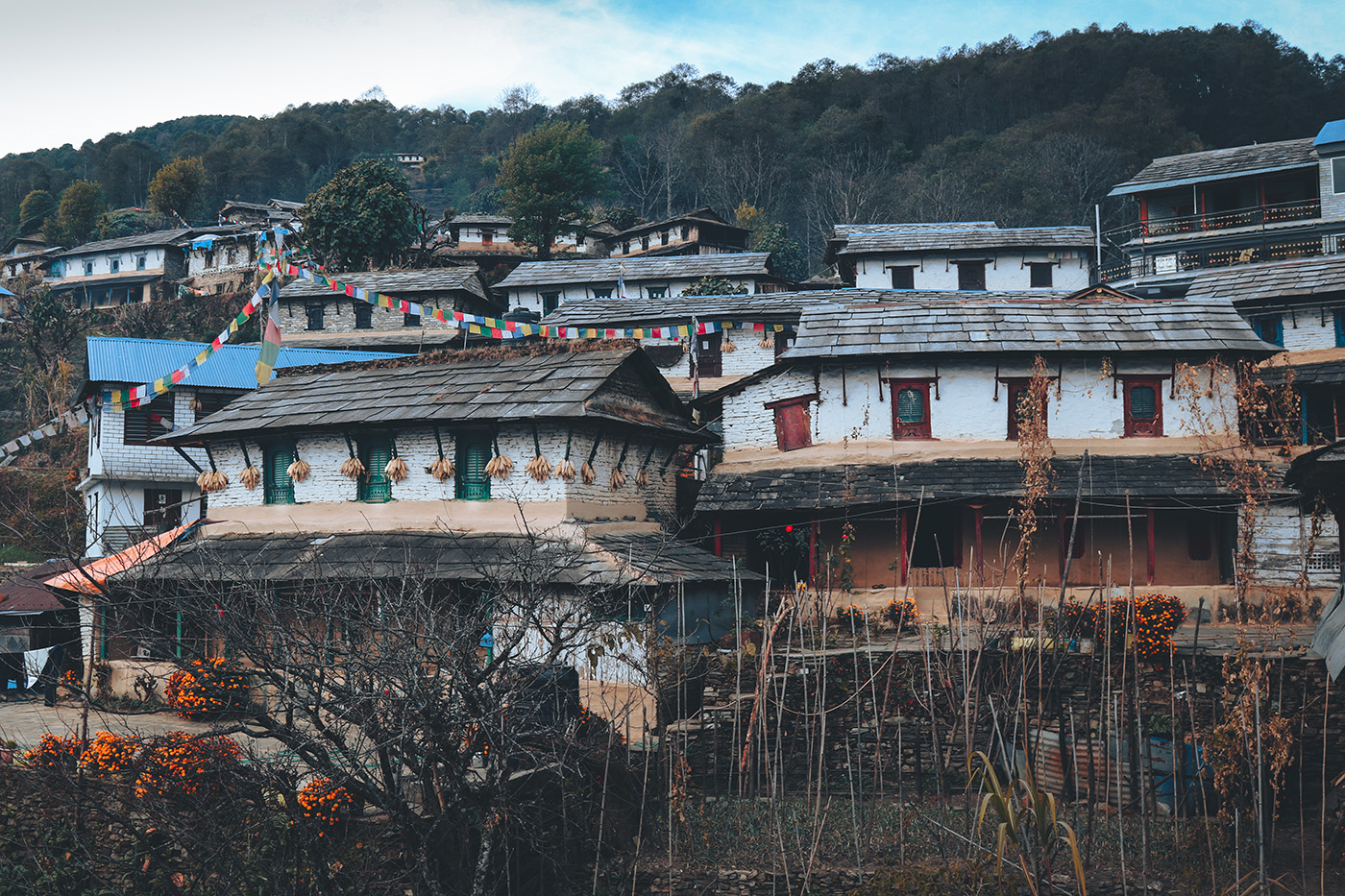 Kathmandu Pokhara Chitwan in a Week