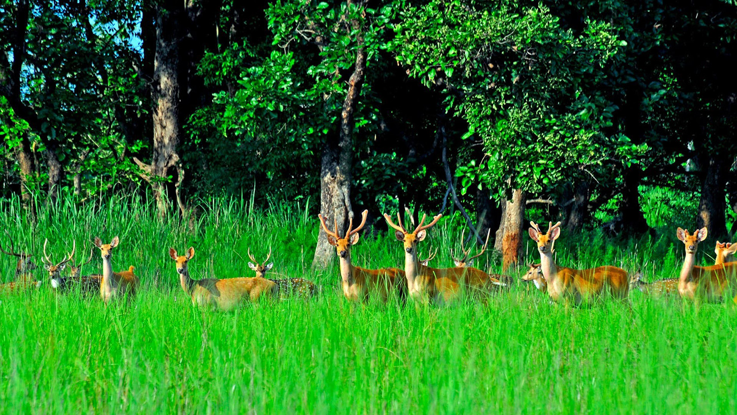 Parsa National Park Tour